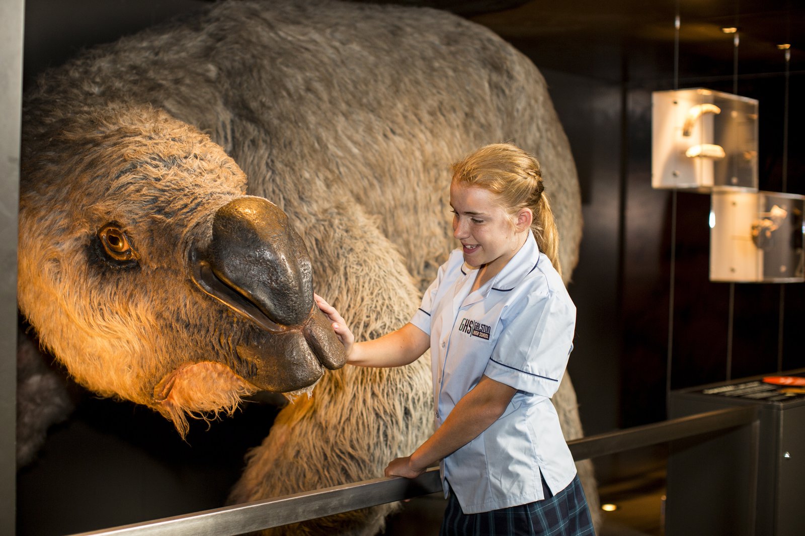 Diprotodon-14 20 Ancient Wild Disappeared from Earth