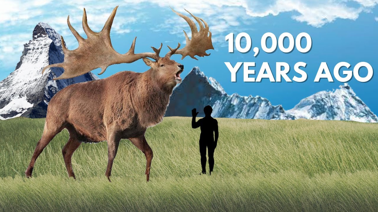 Irish-Elk-9 20 Ancient Wild Disappeared from Earth