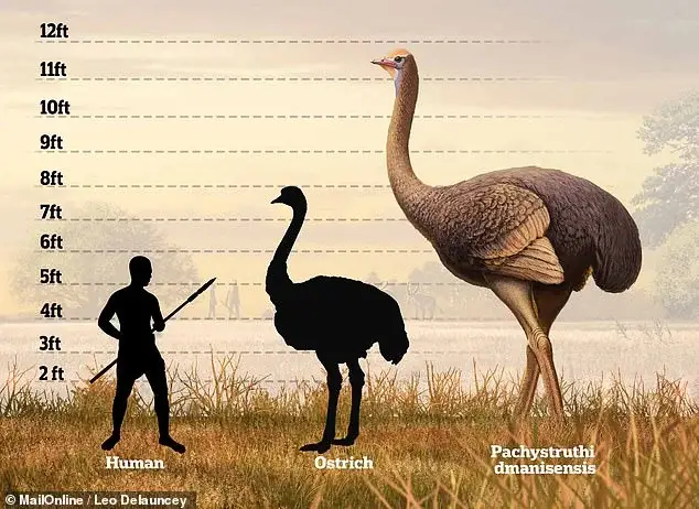 Moa-12 20 Ancient Wild Disappeared from Earth