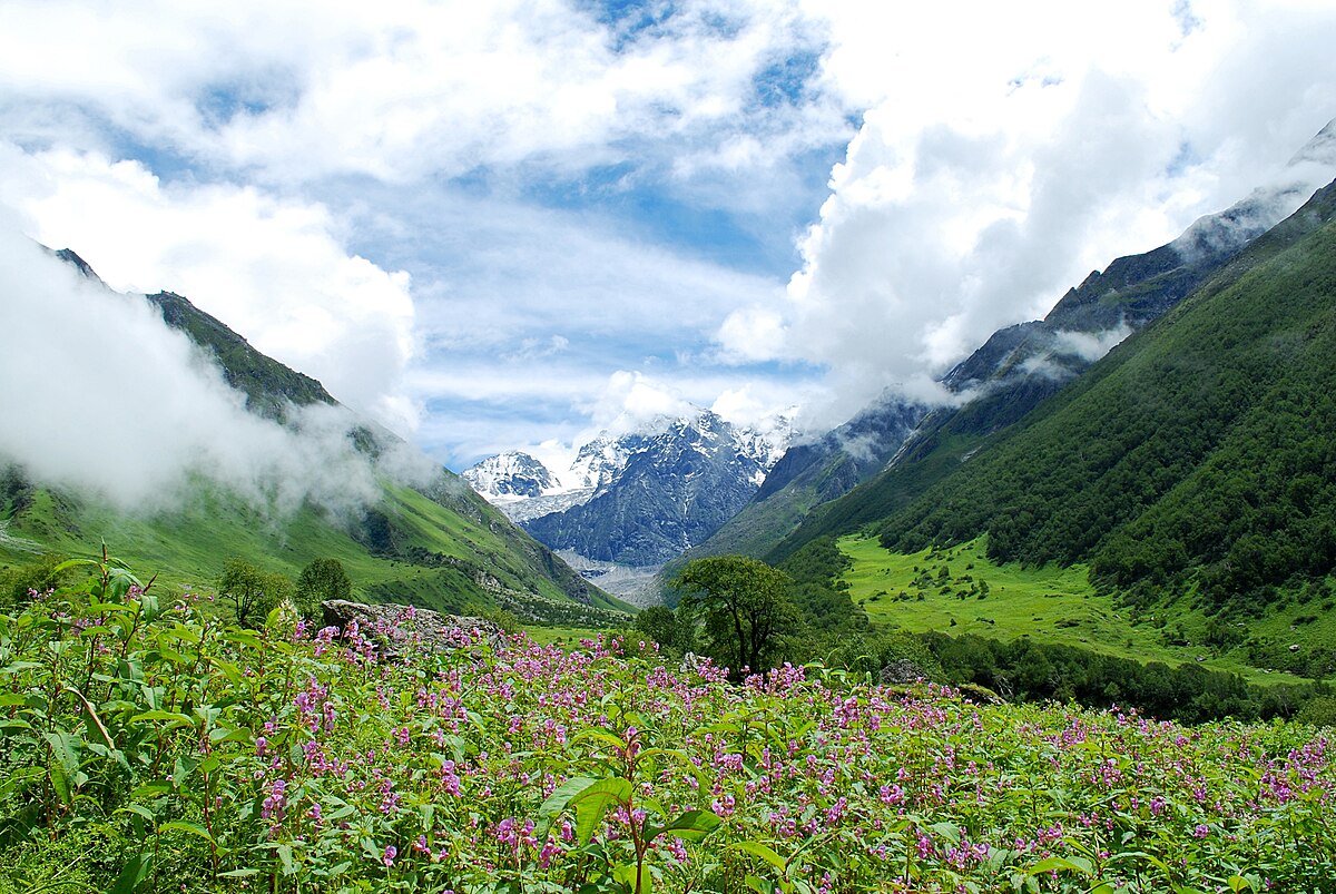 Valley-of-Flowers-Uttarakhand Best beautiful places to visit in India